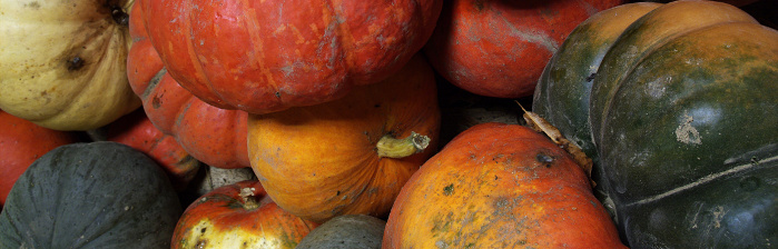 courges